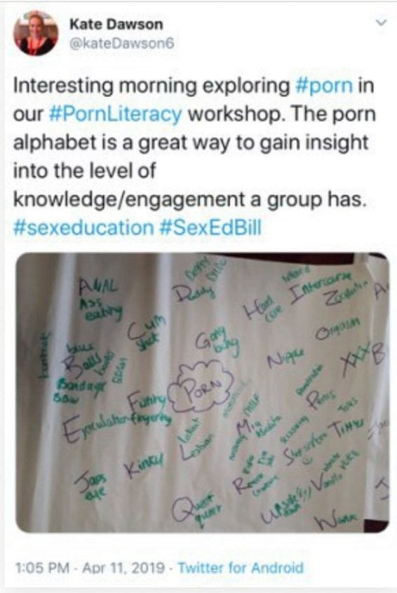 566px x 845px - Porn 'workshop' by Irish sex-ed influencer includes â€œAss ...